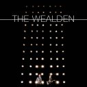 The+Wealden+-+Rushes